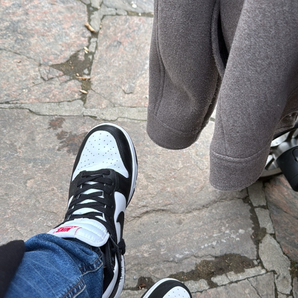 Nike Panda Dunks (high)